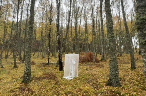 Kingussuie, Scotland 2025
